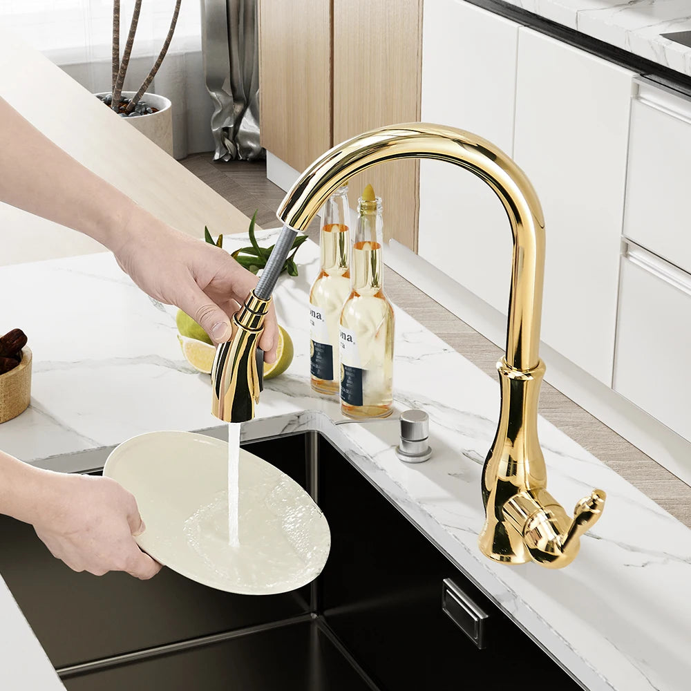 Black Pull Out Single Lever Kitchen Mixer Tap – 360° Rotation