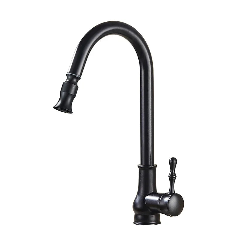 Black kitchen faucet with pull-out spray head on a white background